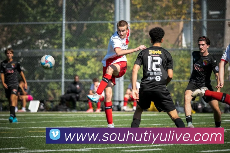 多媒体互动体验